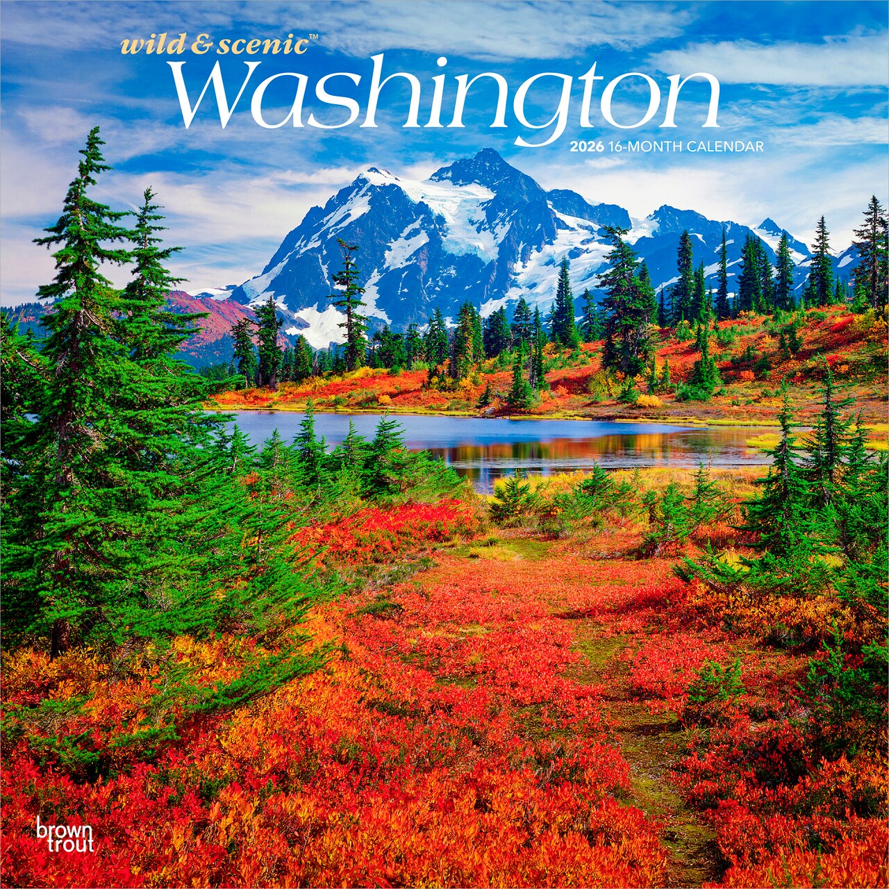 Washington Wild & Scenic | 2026 12 x 24 Inch (Hanging) Monthly Square Wall Calendar | Plastic-Free